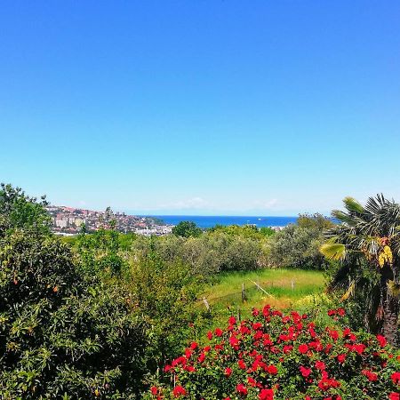 Peaceful View Apartment Koper Dış mekan fotoğraf