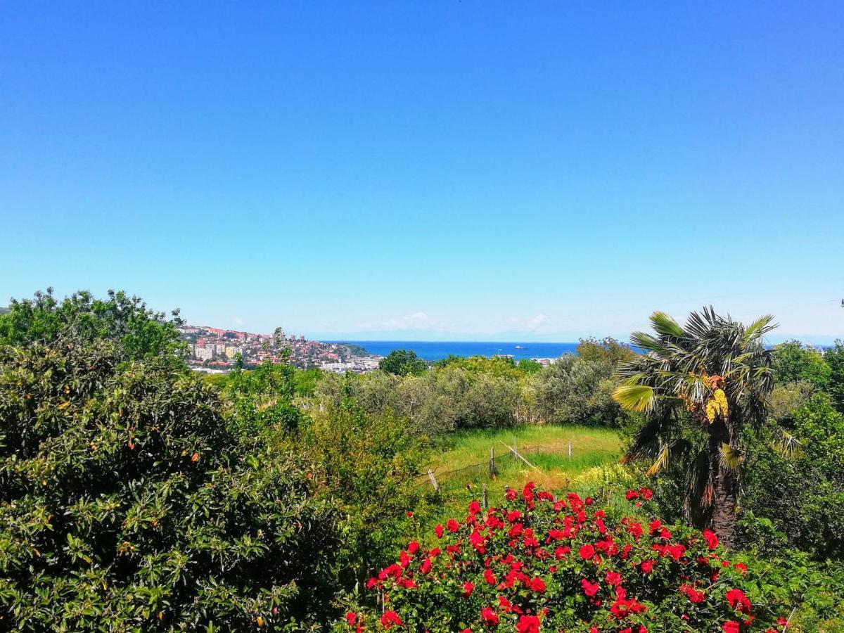 Peaceful View Apartment Koper Dış mekan fotoğraf