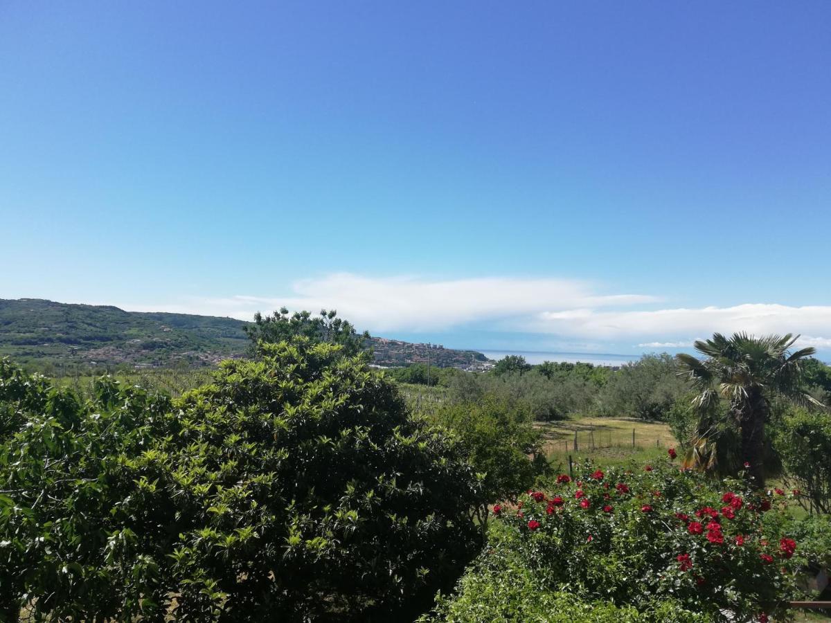 Peaceful View Apartment Koper Dış mekan fotoğraf