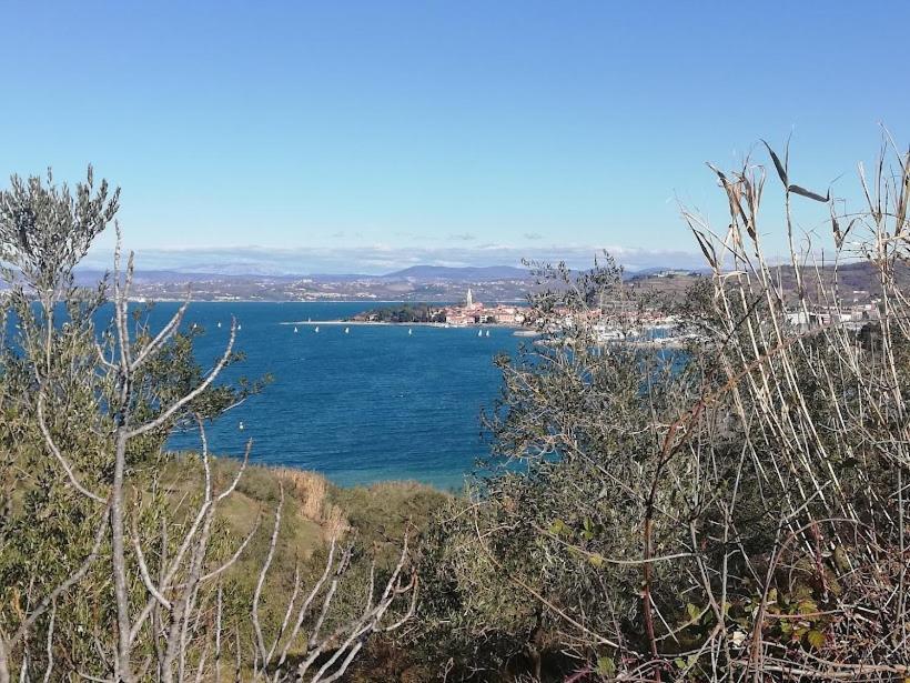 Peaceful View Apartment Koper Dış mekan fotoğraf