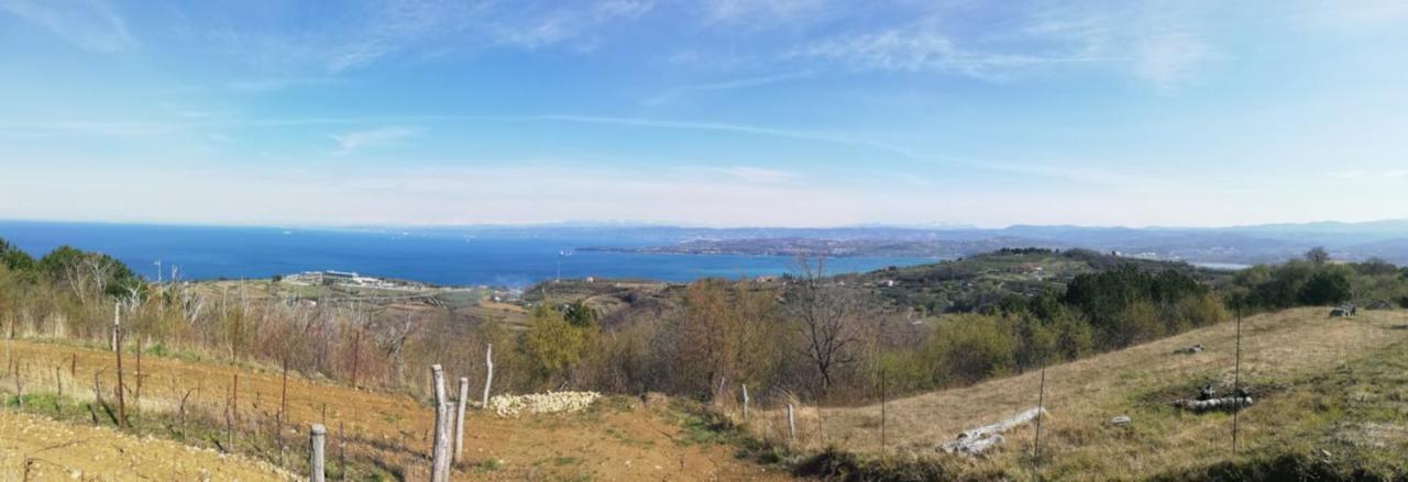Peaceful View Apartment Koper Dış mekan fotoğraf