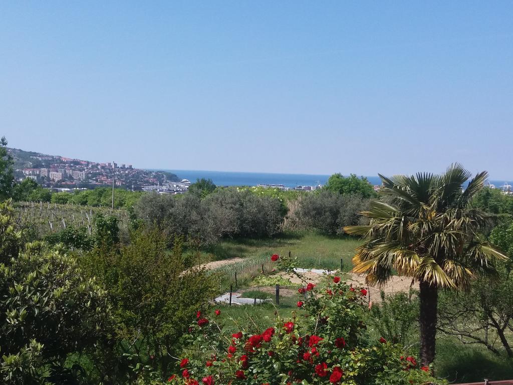 Peaceful View Apartment Koper Dış mekan fotoğraf